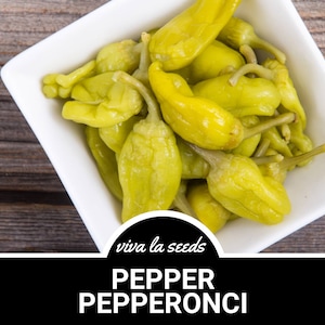 Pepper, Pepperoncini | 25 Seeds | Easy To Grow | Non GMO | Capsicum annuum