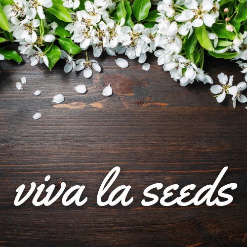 VivaLaSeeds