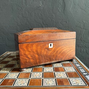 Antique English 19th Century Wooden Tea Caddy in Sarcophagus Shape