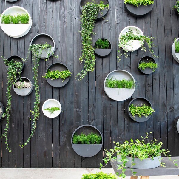 Outdoor Wall Planter Etsy