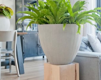 May include: A large green plant in a white ceramic pot sits on a wooden pedestal. The plant is in a living room setting with a white couch and a glass-front cabinet in the background.