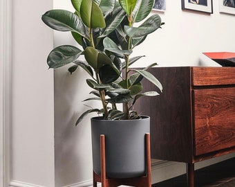 XXL Planter, Extra Large Planter, Concrete Pot, Floor Planter , indoor Planters , Large Cement Planter , Mid Century Modern Planter