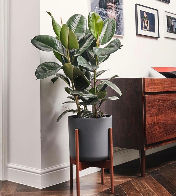 XXL Planter, Extra Large Planter, Concrete Pot, Floor Planter , Indoor  Planters , Large Cement Planter , Mid Century Modern Planter - Etsy