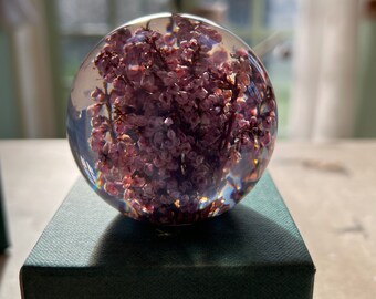 Botanical Heather Large Paperweight Made With Real Heather