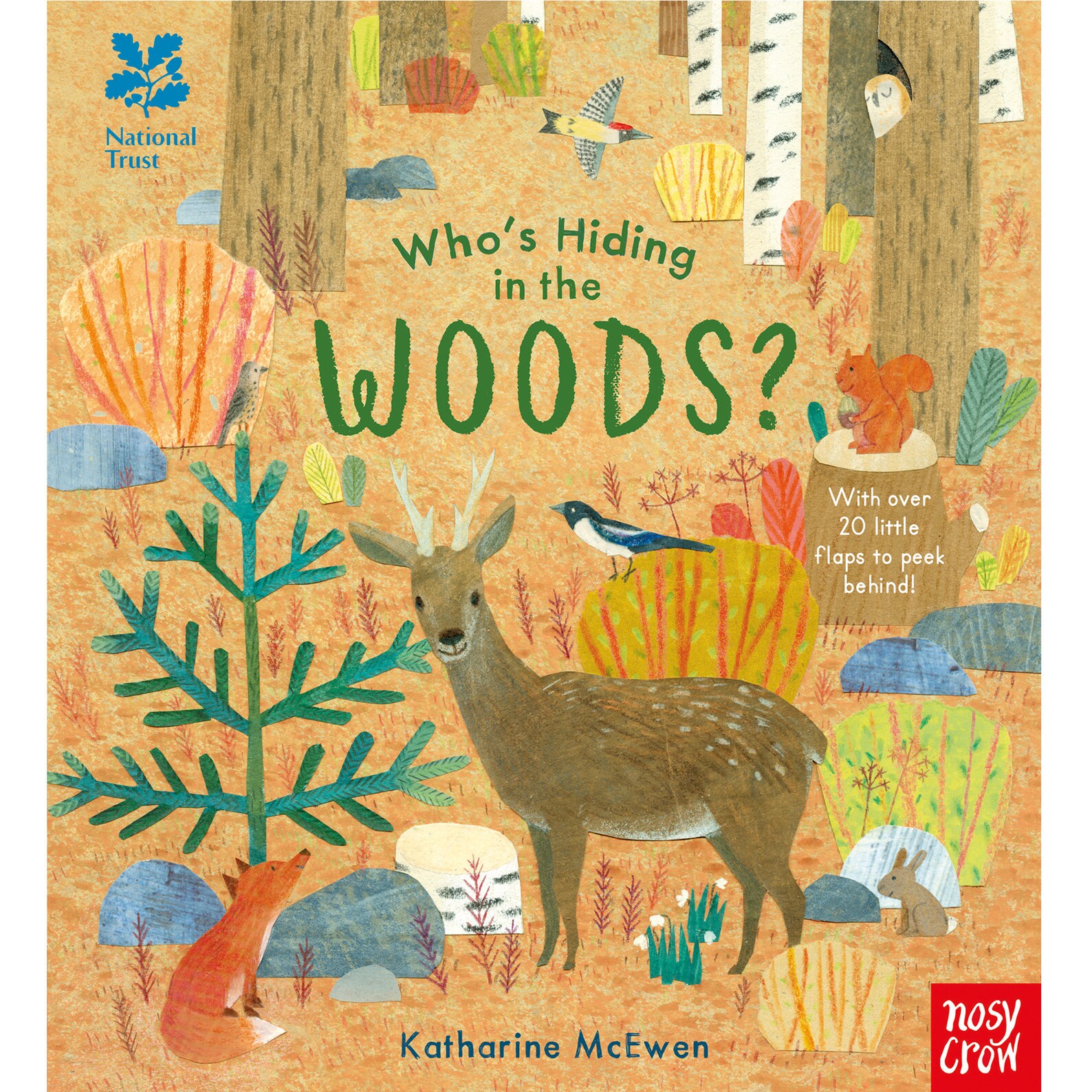 National Trust Children's Book Who's Hiding in the Woods Etsy