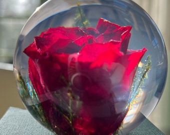 Botanical Red Rose Small  Paperweight Made With Real Rose