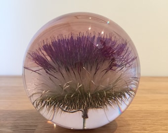 Botanical Thistle Large Paperweight Made With Real Thistle