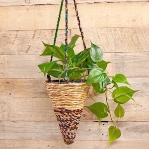 May include: A hanging planter made of woven natural fibers in a cone shape with a green plant inside. The planter is suspended from a colorful rope.