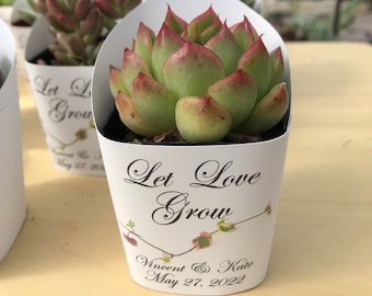 Premium White Dove Succulent Wrappers for Wedding Favors as Thank You Gift - [plants not included]