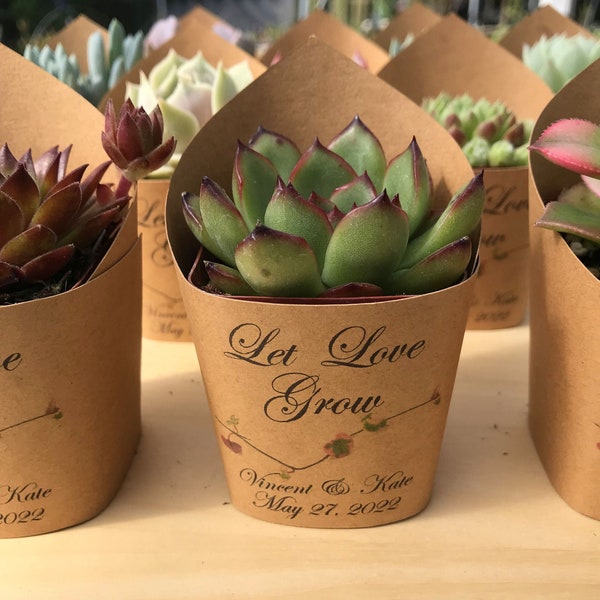 Succulent Wrappers for Wedding Favors as Thank You Gift - [plants not included]