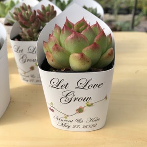 May include: A white favor pot with a succulent plant inside. The pot has a label that says "Let Love Grow" with a floral design and the text "Vincent & Kate May 27, 2022".