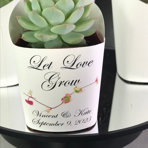 May include: A succulent plant in a white paper pot with the text "Let Love Grow" and the names "Vincent & Kate" and the date "September 9, 2023". The succulent has light green leaves with pink tips.