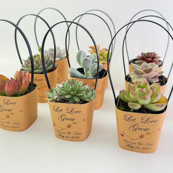 Succulent Wrappers with Handles for Wedding Favors as Thank You Gift - [plants not included]