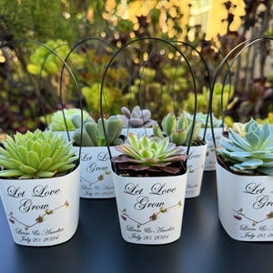 May include: Set of six white succulent planters with black wire handles. Each planter has a white label with black text that reads "Let Love Grow" and includes the names Liam & Amelia and the date July 20, 2024.