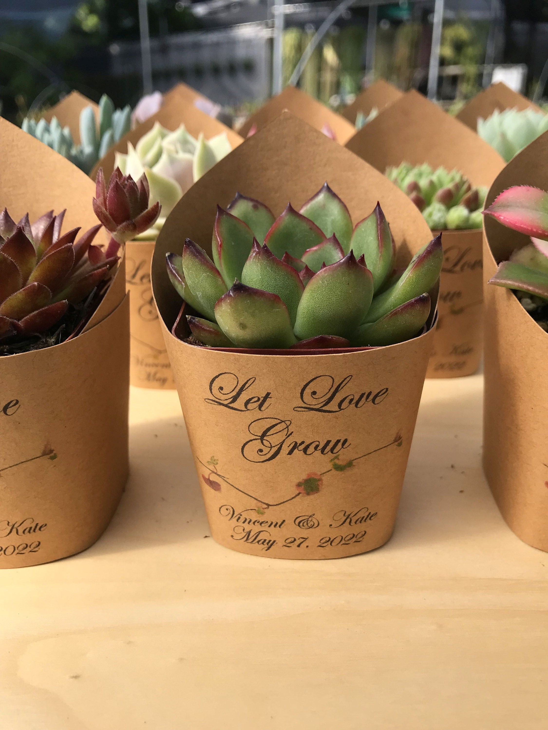 50 Pack Kraft Paper Succulent Gift Bags With Handles - 2.5" Mini Plant Holder Boxes For Party Favors - View #3