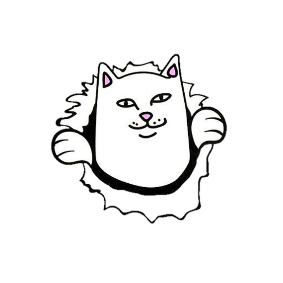 Rip n dip cat Clearance