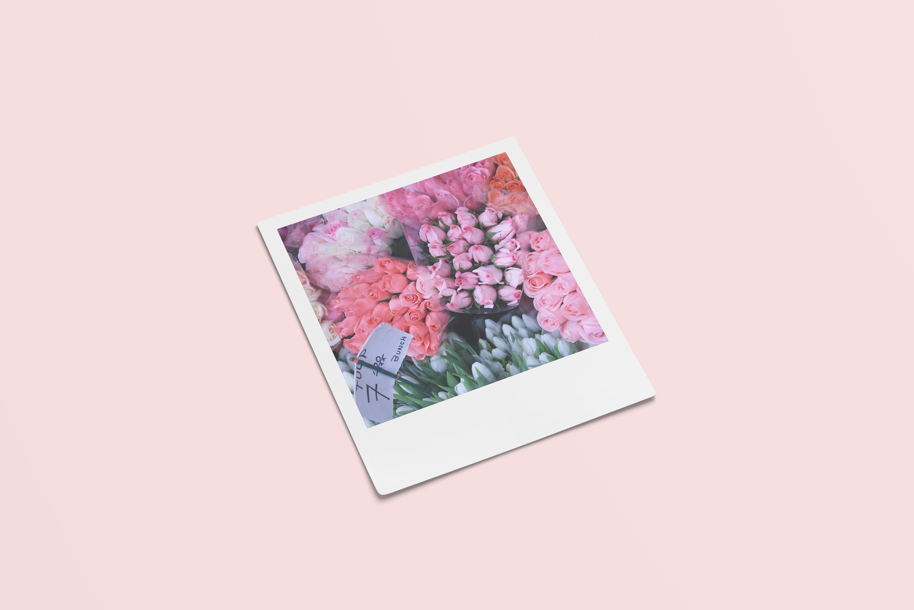 Printable Aesthetic Polaroids | Printable Flower | Set of 4 | Instant ...