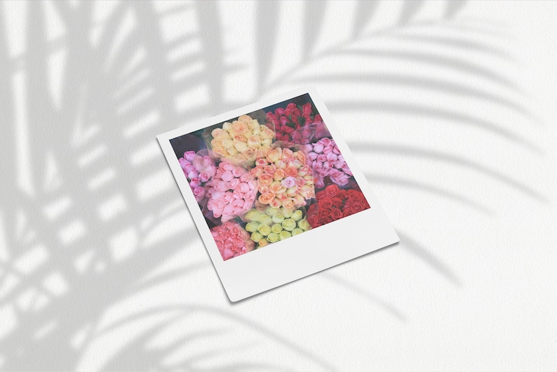 Printable Aesthetic Polaroids | Printable Flower | Set of 4 | Instant ...