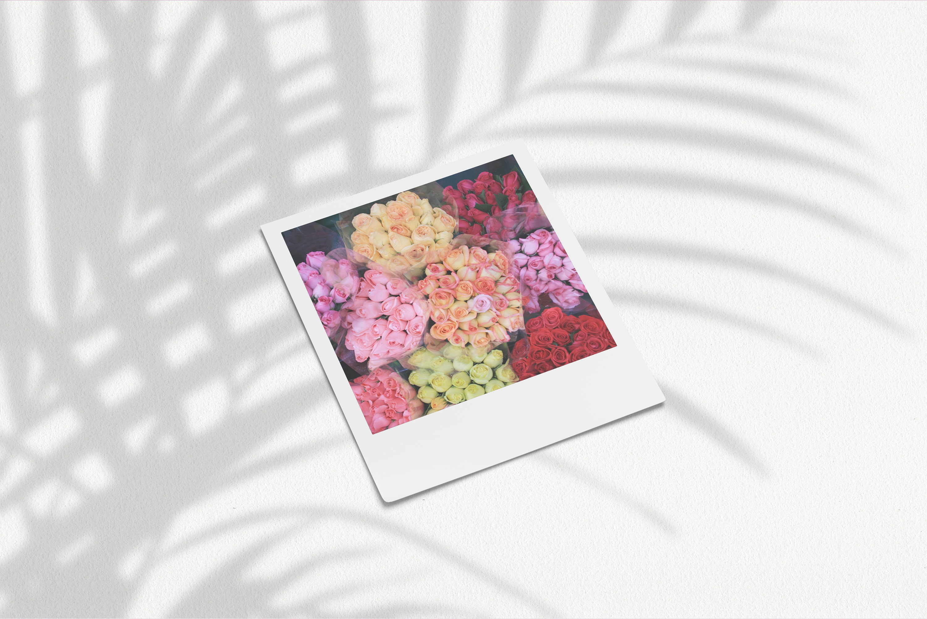 printable-aesthetic-polaroids-printable-flower-set-of-4-instant-download-digital-download-photo