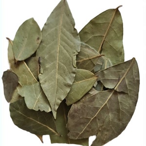 May include: A pile of dried bay leaves, a common culinary herb, with a green-brown colour and a slightly wrinkled texture.