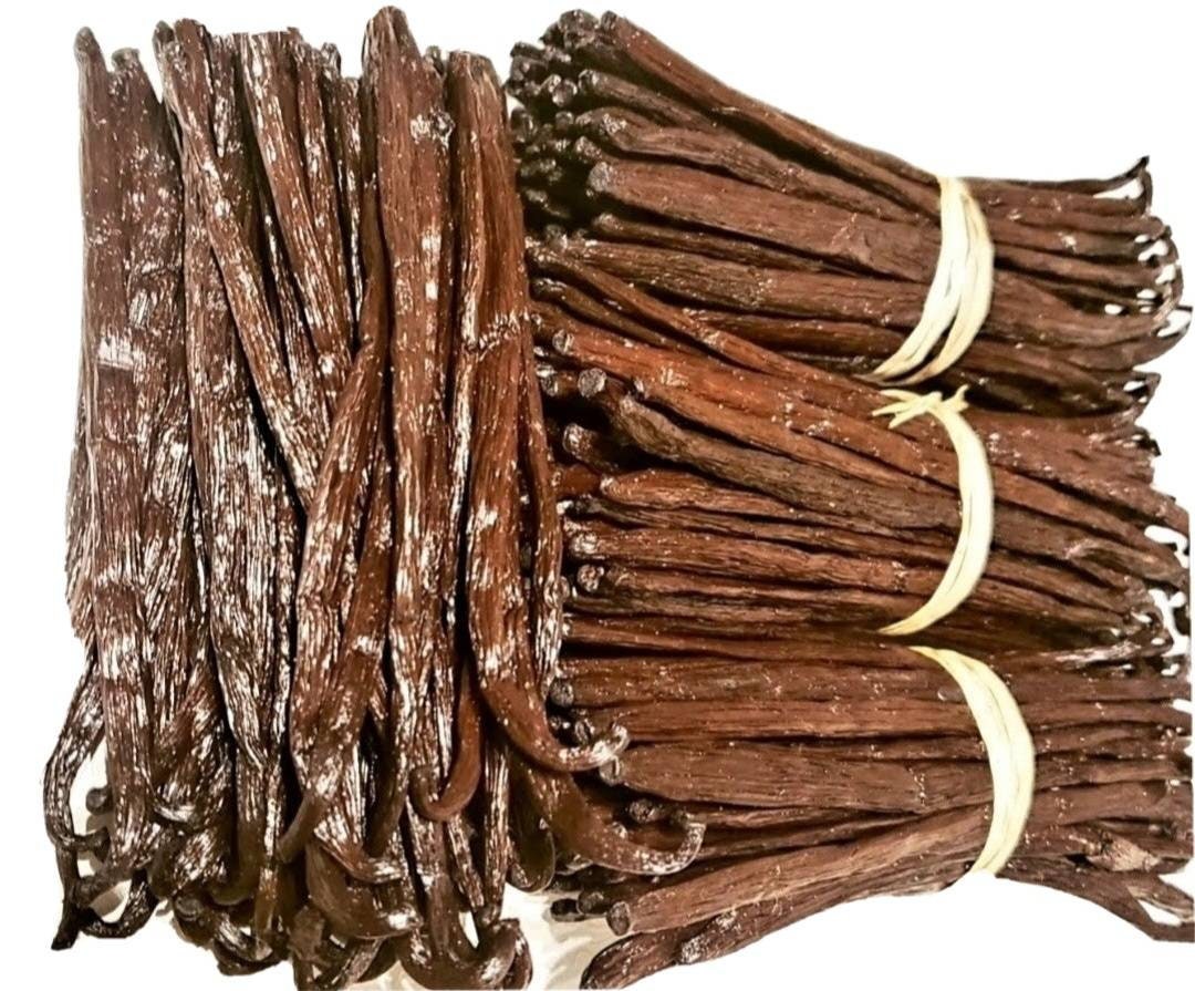 Grade A Madagascar Natural Vanilla Beans 5 Inches Etsy