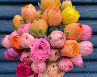 May include: A bouquet of pink, orange, and yellow ranunculus flowers. The flowers are arranged in a hand-held bouquet and have a variety of bloom sizes. The bouquet is labeled "Blooming Hill Farm, Michigan".