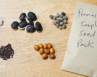 PERMACULTURE SEED Sample Pack 4 heirloom varieties: Pigeon Pea, Lablab Purpureus, Sea Island Flint Corn, Okra, Mustard Greens