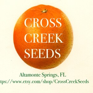 Puede incluir: Una naranja brillante con el texto "CROSS CREEK SEEDS" en letras blancas. El texto "Altamonte Springs, FL" y una direcci&oacute;n de sitio web est&aacute;n debajo de la naranja.