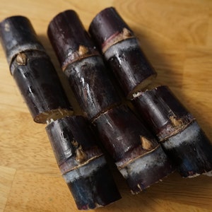 Vietnamese Purple / Black SUGARCANE Heirloom Organic Cuttings Nodes Sweet Juicy Ready To Plant Florida Grown