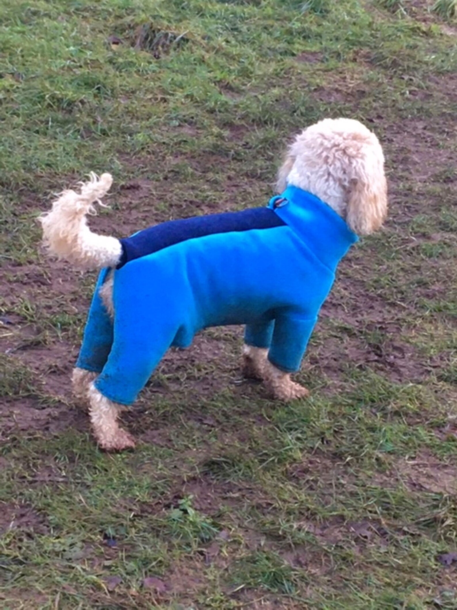 Cockapoo Dog Tracksuit SMALL Polar Fleece Onesie Outdoor Etsy