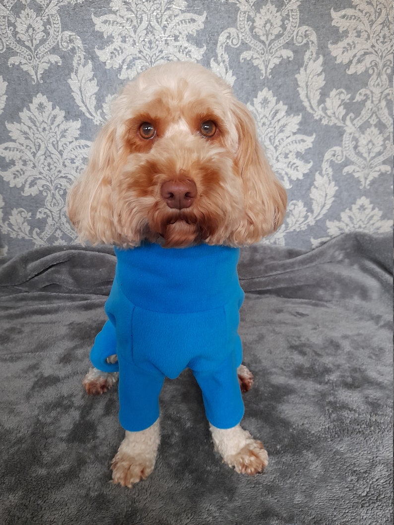 cockapoo fleece coat