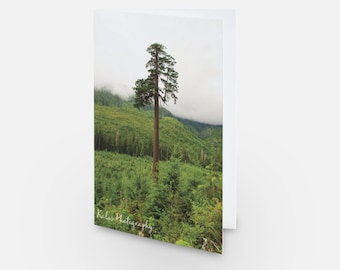Big Lonely Doug Card: Douglas Fir Landscape, Blank Inside