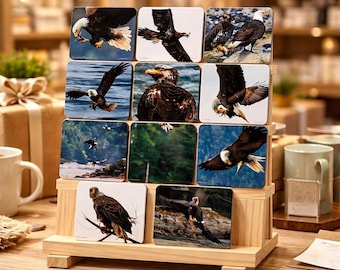 Set of 4 Bald Eagle Cork Coasters | Various Unique Photos