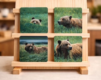 Set of 4 Grizzly Bear Cork Coasters - Unique Wildlife Drinkware