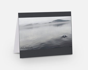 Dall's Dolphin Card: High Gloss Blank Greeting Card