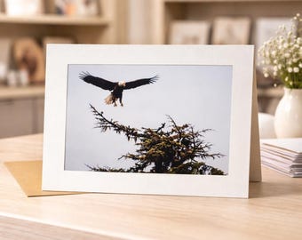 Bald Eagle Greeting Cards – Stunning Wildlife Art Stationery