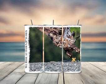 Juvenile Bald Eagle Tumbler: 20 oz Stainless Steel Reusable Cup