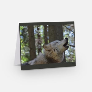 Carte loup carte loup hurlant pour amoureux des loups carte pour amoureux des animaux carte chien joyeux anniversaire carte loup vierge