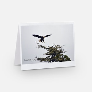 Carte aigle pour amateur d'aigle carte de voeux carte d'atterrissage d'aigle cadeau pygargue à tête blanche pour amoureux d'aigle