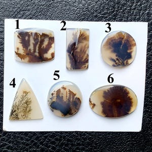 Puede incluir: Seis piedras preciosas de ágata dendrítica pulida en varias formas: rectangular, ovalada, redonda y triangular. Las piedras presentan inclusiones marrones y beige en forma de helecho dentro de material translúcido. Cada piedra está numerada.