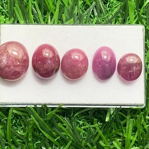 Puede incluir: Cinco piedras preciosas cabujón rosas de diferentes tamaños se muestran en una vitrina blanca. Las piedras preciosas están dispuestas en una fila de la más grande a la más pequeña.