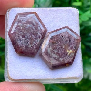 Peut inclure: Deux pierres précieuses hexagonales à facettes, d'une teinte violet-rouge profond, présentant des motifs géométriques internes visibles. Les pierres sont posées sur un support carré texturé violet clair dans un boîtier en plastique transparent.
