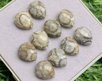 Fossil Coral 100% Natural Fossil Coral, Rose Cut Pear Shape Flat Backs Lot Gemstone, 23.00 Caret Size 8x10 mm For Making Jewelry,
