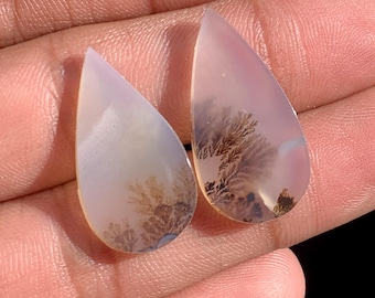 May include: Two teardrop-shaped gemstones with a translucent appearance. The stones have a pale lavender hue with brown, tree-like inclusions. The gemstones are held in a hand, showcasing their polished surfaces and unique patterns.