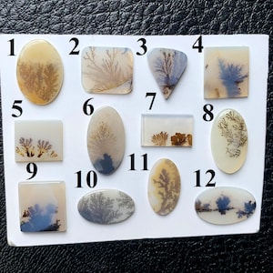 Peut inclure: Une collection de douze cabochons en agate dendritique de formes variées, dont ovales, carrées et triangulaires. Les pierres présentent des motifs complexes en forme d'arbres dans des tons marron, gris et bleu sur un fond translucide. Chaque pierre est numérotée.