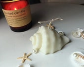 Conch Candle Mold,Aromatherapy Candles Mold,Cylinder Mold,Handmade Mold For Soap,Geometric Candle Mold,Silicone Mold,Making Craft