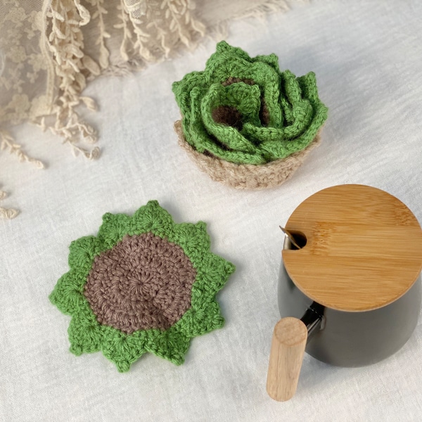 Succulent Plant Pot Coaster Crochet Etsy