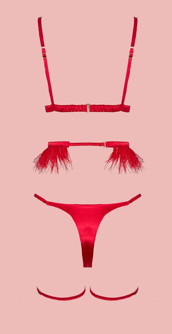 Red Silk Lingerie Set, 100% Silk Bralette T-string, Satin Bra Thong, Silk  Panties, Classy Intimates Lingerie, Personalized Design 