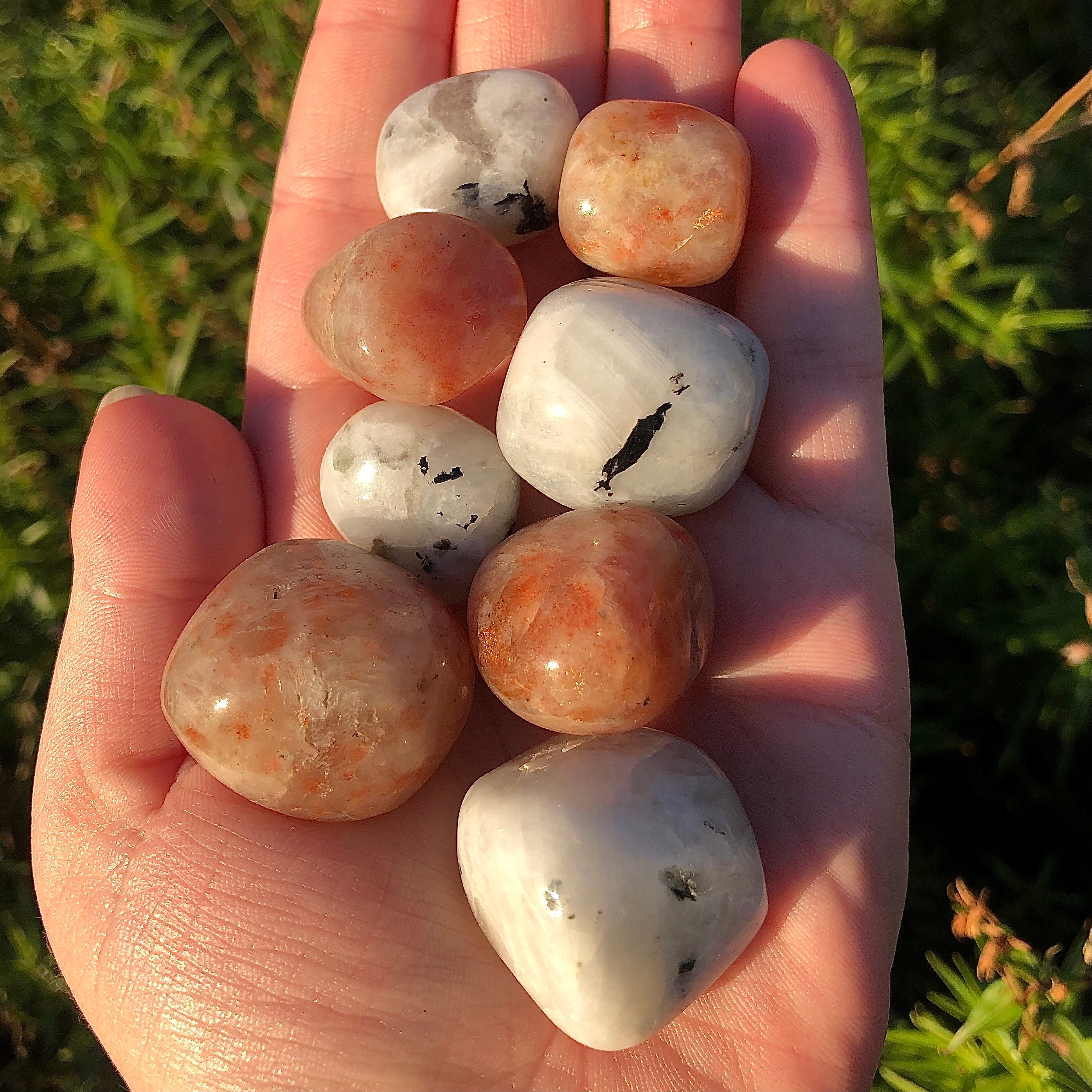 mystery of the crystal portal