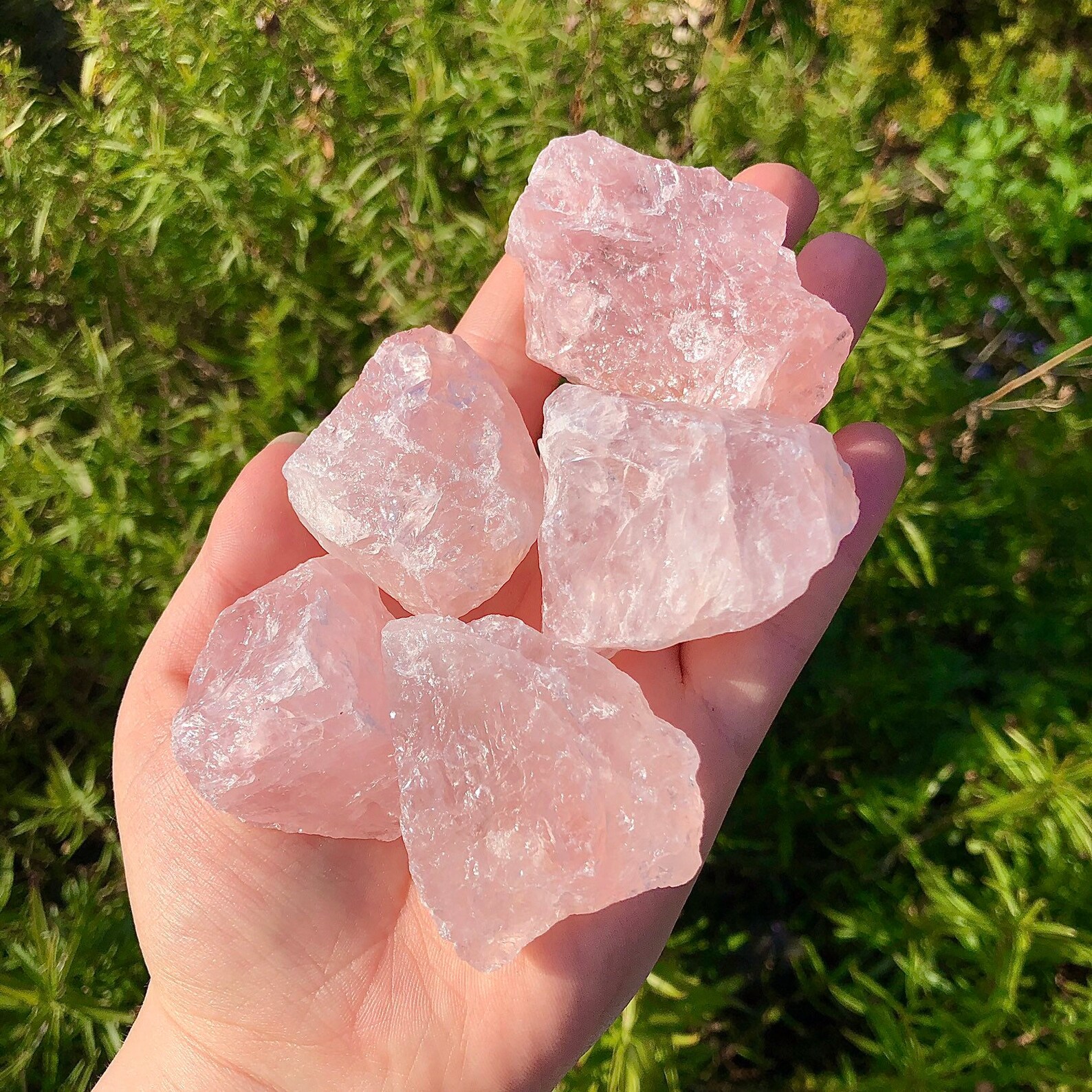 Real Raw Rose Quartz Pieces Etsy